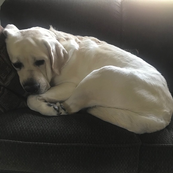 Meet your Posher, Galini - Picture 1 of 1